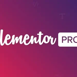 Elementor Pro & Core – Live Page Builder For WordPress + Pro Templates